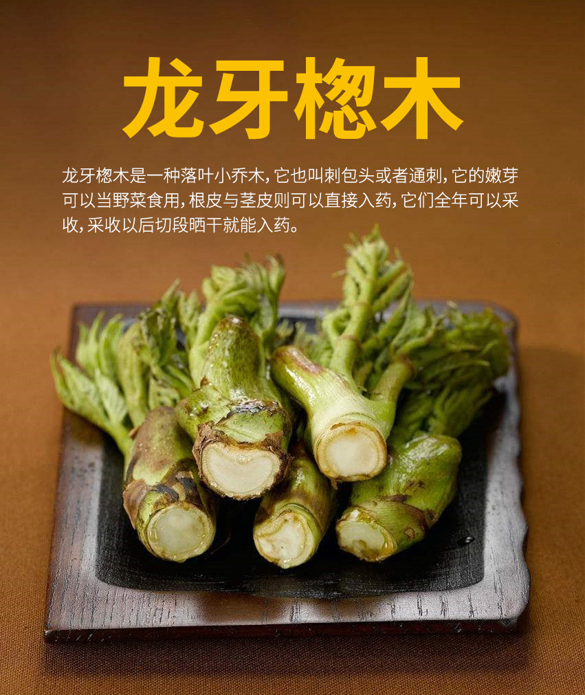 龙牙楤木