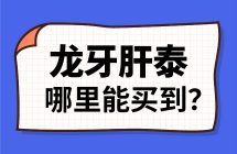 龙牙肝泰胶囊哪里能买到