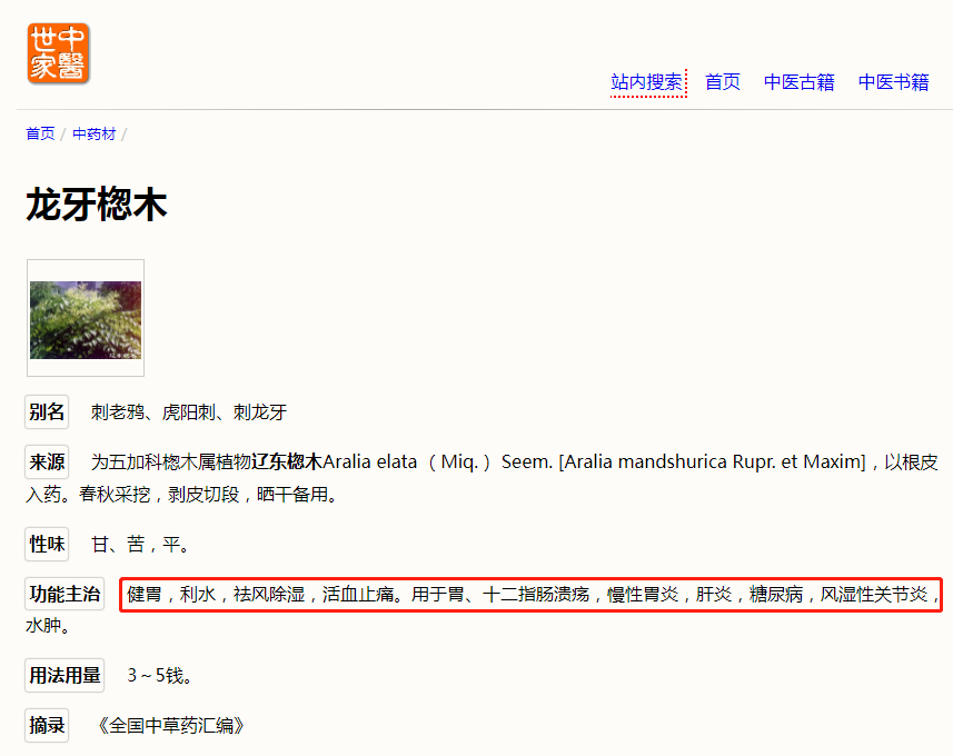 龙牙楤木的介绍